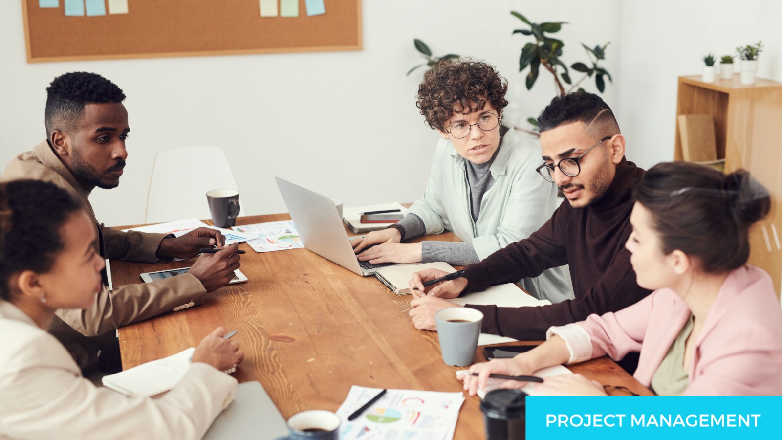 Project Management